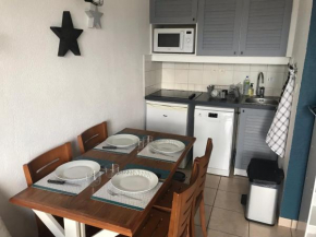 Joli T2 bord de mer parking piscine